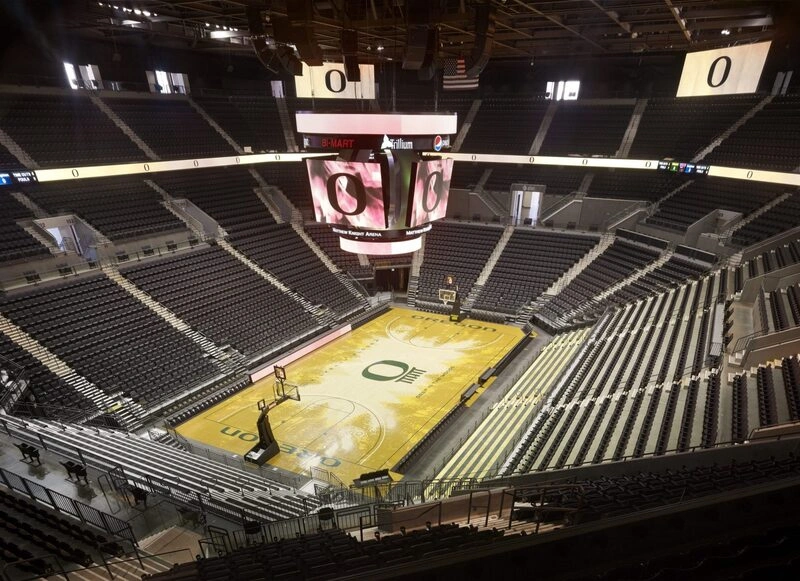 matthew knight arena